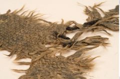 Foto von Textil (NHMW-PRAE-126320)